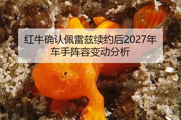 hong-niu-que-ren-pei-lei-zi-xu-yue-hou-nian-che-shou-zhen-rong-bian-dong-fen-xi-3-450.jpg